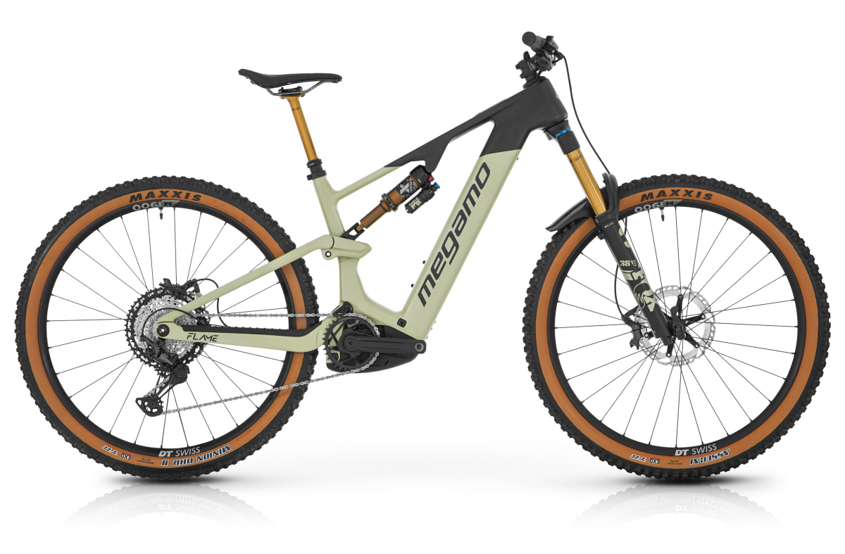  FLAME CRB 03 - SAGE S (26)
