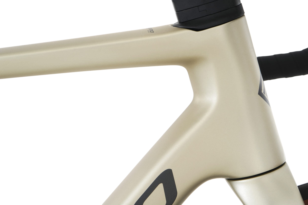 RAISE 05 - SILVER ASH XS (26)