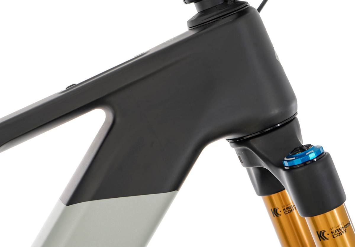  FLAME CRB 05 - SAGE S (26)