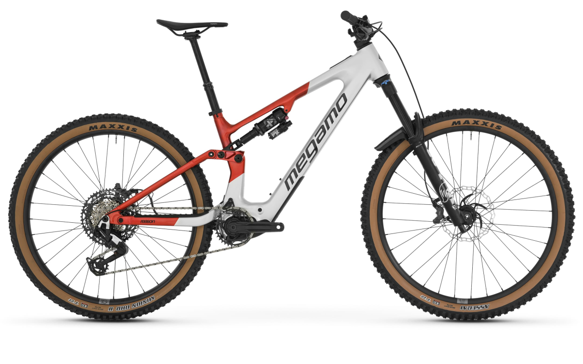  REASON AL 05 - RAW S (26)