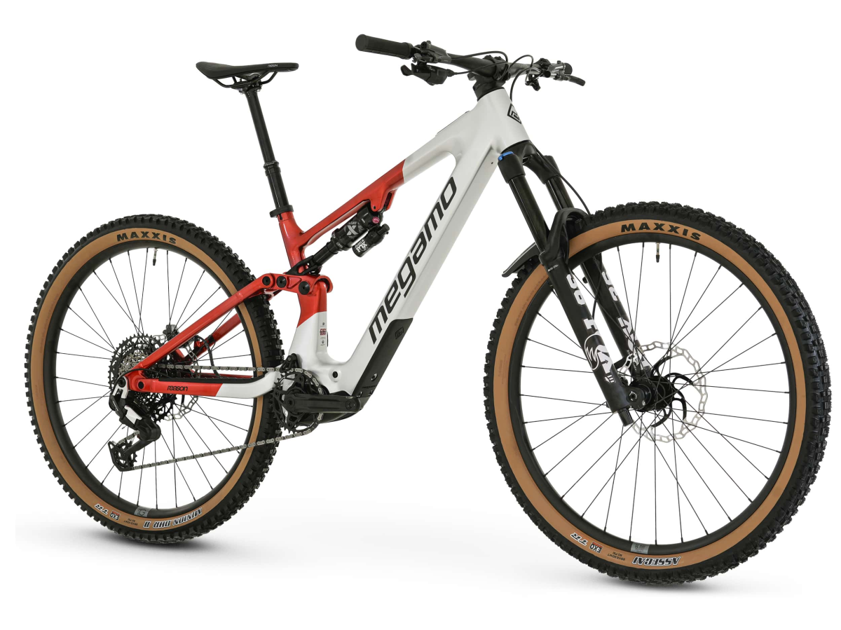  REASON AL 05 - RAW S (26)