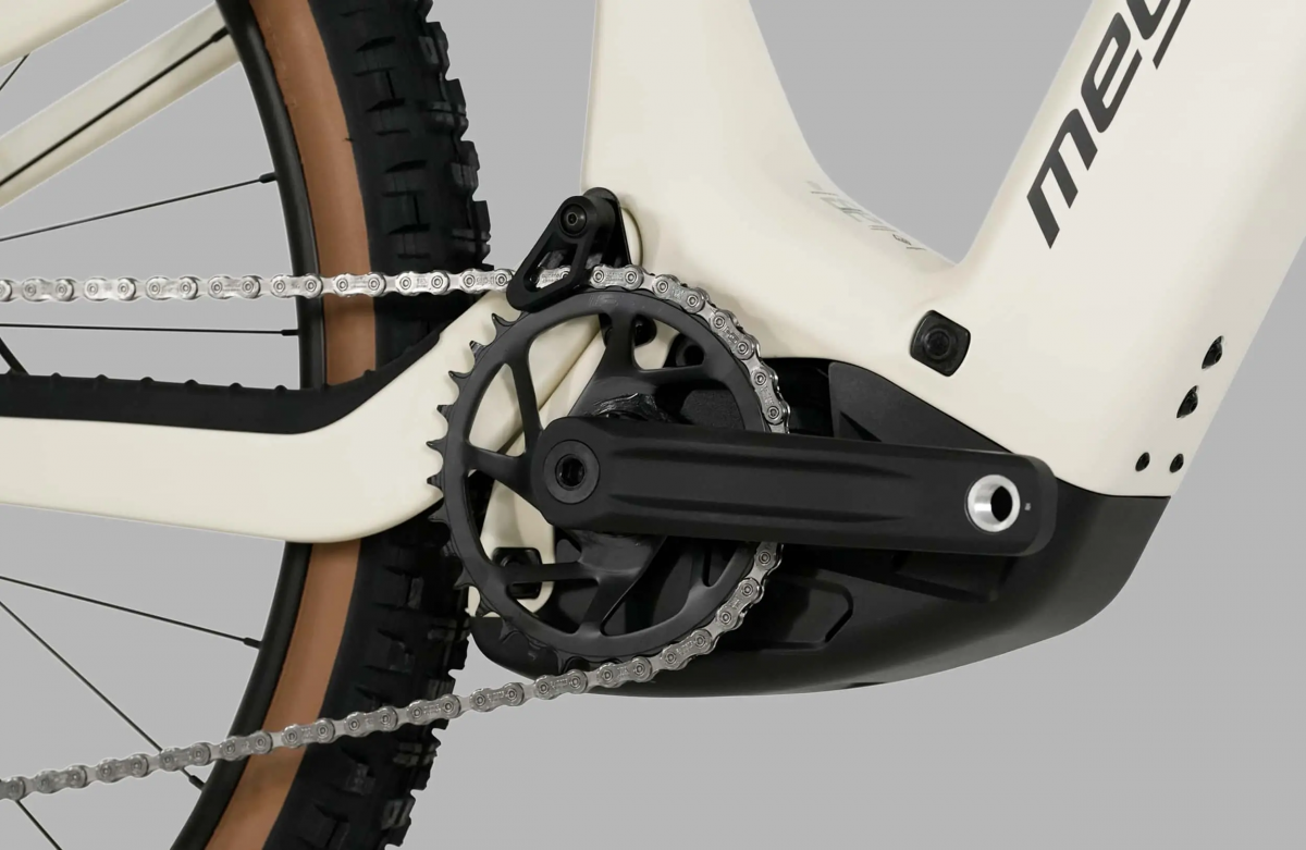  FLAME CRB 07 - FOREST S (26)