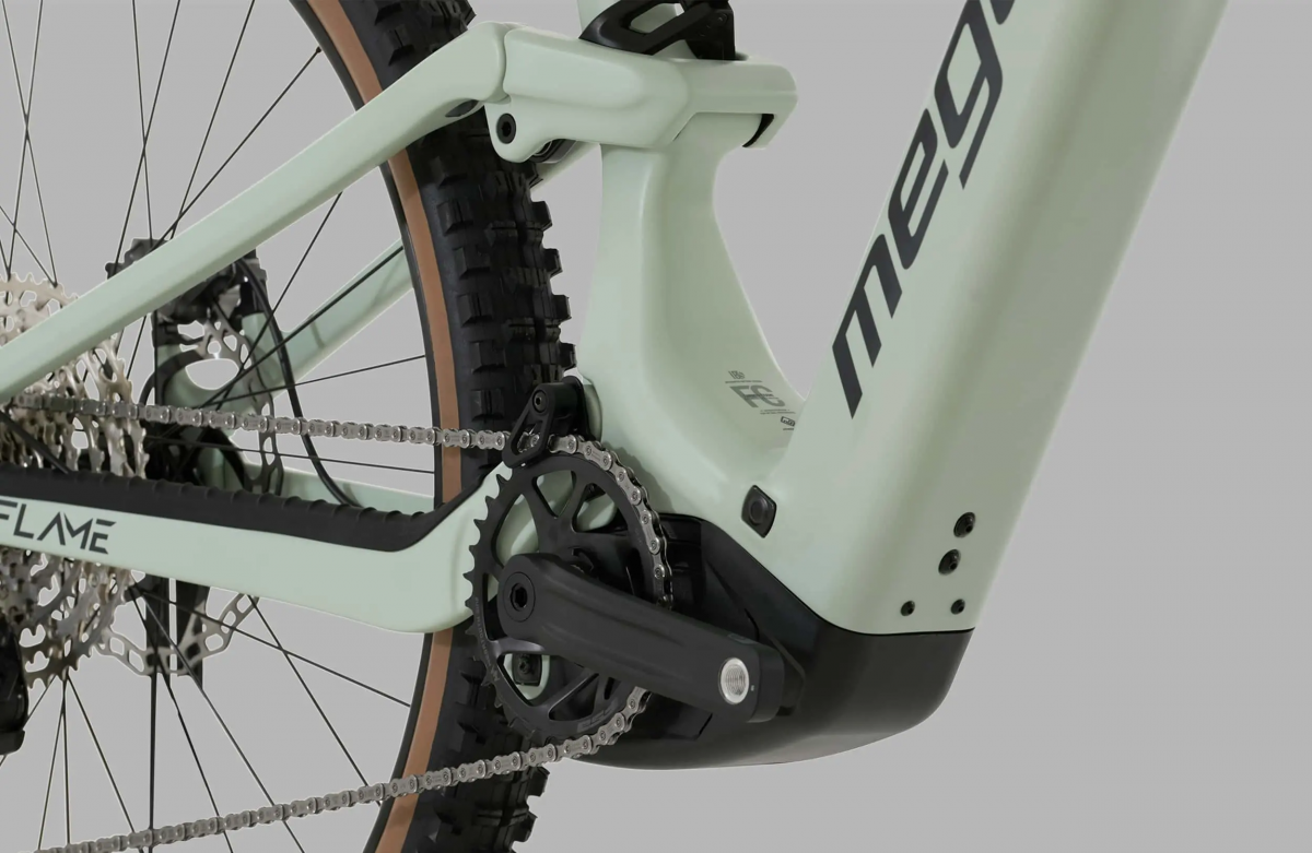  FLAME CRB 07 - SAGE S (26)