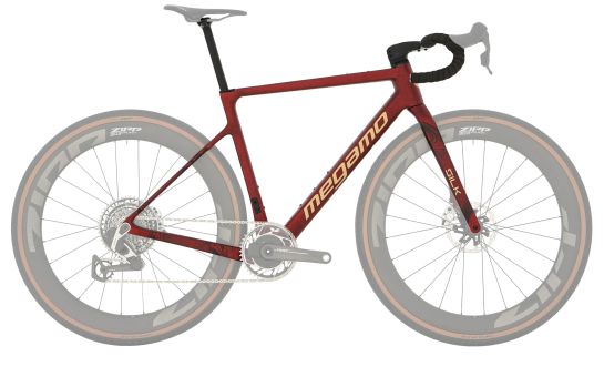 SILK FRAMESET  (25)